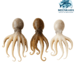 Baby Octopus/Pei Kanava (Small)-1 Kg
