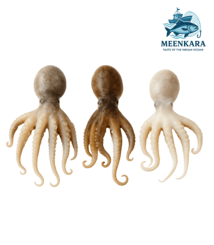 Baby Octopus/Pei Kanava (Small)-1 Kg