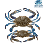 Crab Blue - 1 kg