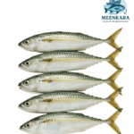 Mackeral Fish / Aylai Meen - 1 kg