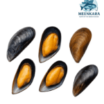 Sea Mussel/Sippi Thodu -1 Kg