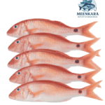 Red Grouper Fish / Sivappu Kalavai Meen - 1 kg