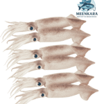 Squid/Kanava/Kadamba -1 Kg